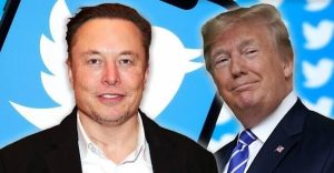 Trump considers White House role for Musk